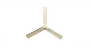Synapse ivory