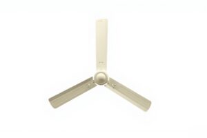 Synapse ivory